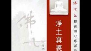 淨土真義 第七集 (華語)