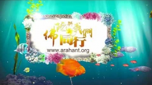 迎奉 釋迦佛陀真身舍利 入臺永住（大馬篇）～歡迎您共襄盛舉！